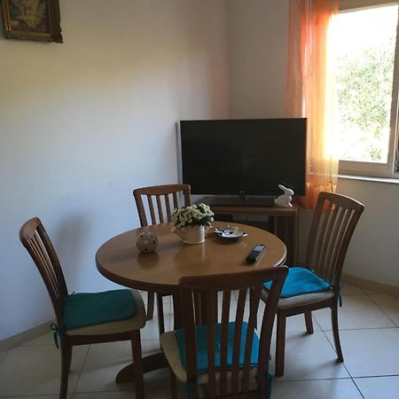 Apartmani Nina 希贝尼克 外观 照片